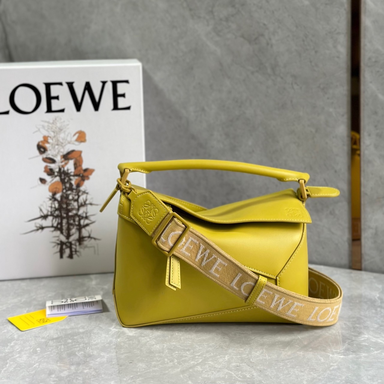 F1D5B070-DC6B-4F40-AA15-2C8AC8335963